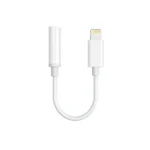 CHOETECH Lightning to 3.5mm Jack Adapter – Audio Adapter for iPhone